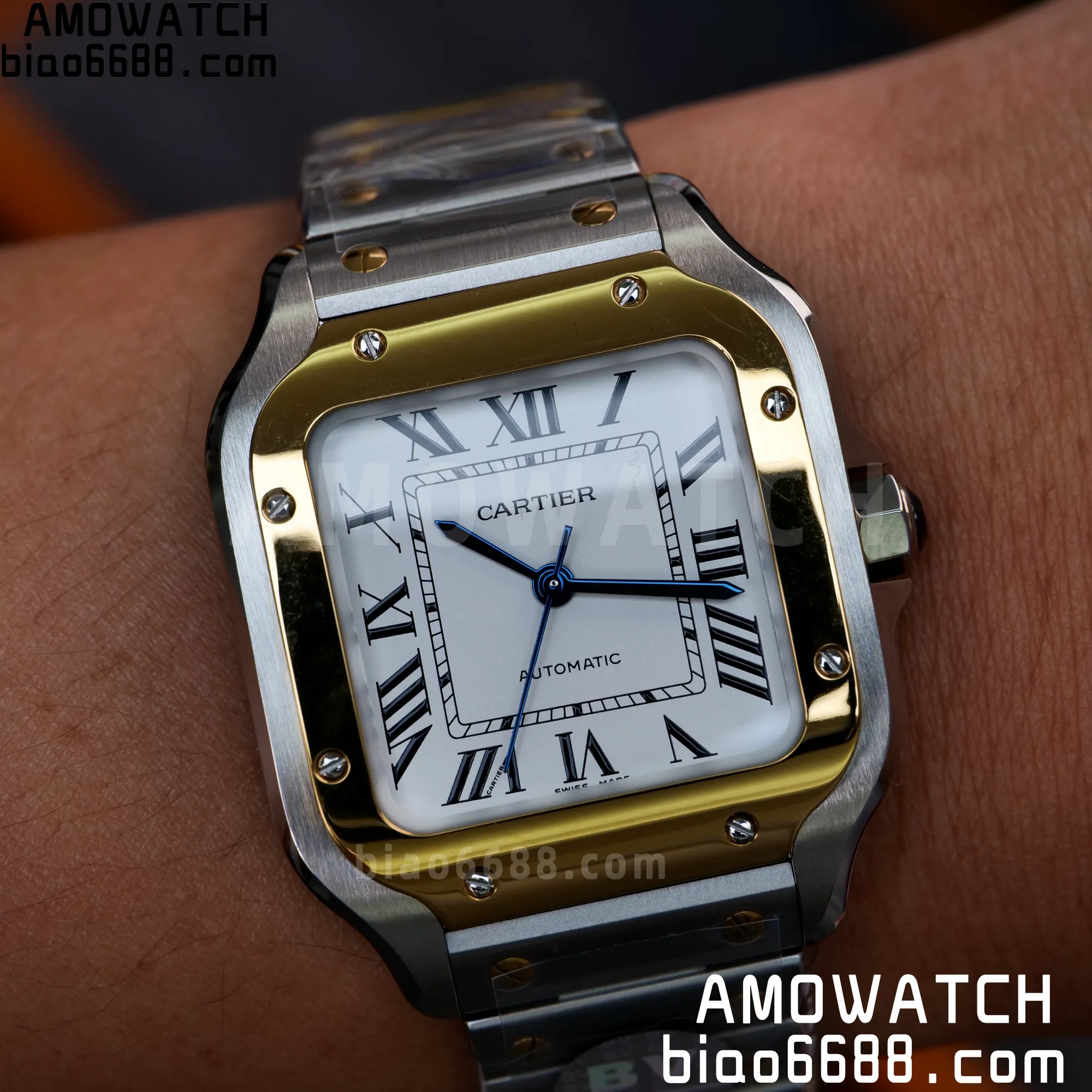 fb4fbf304246f24 AMO Watch