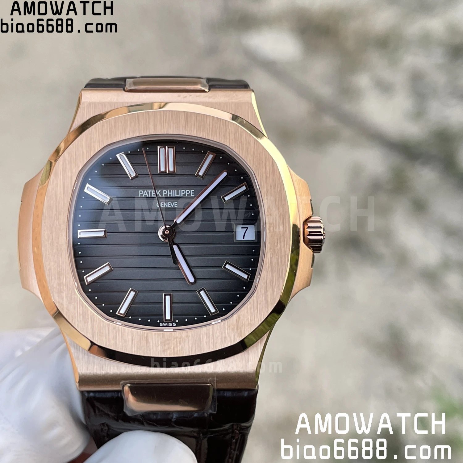 22962e13bf2540d 阿默表行AmoWatch