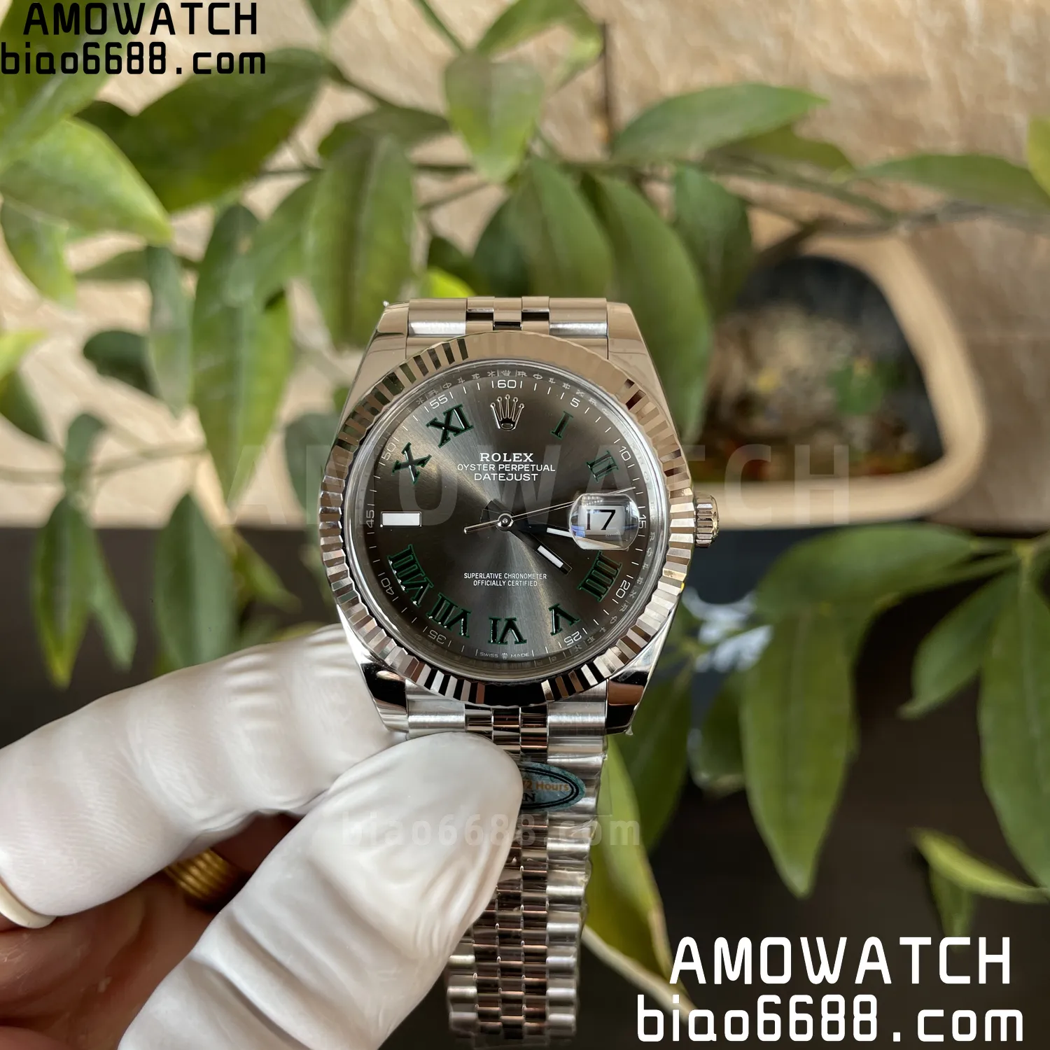 6dfa57169cdcf76 AMO Watch