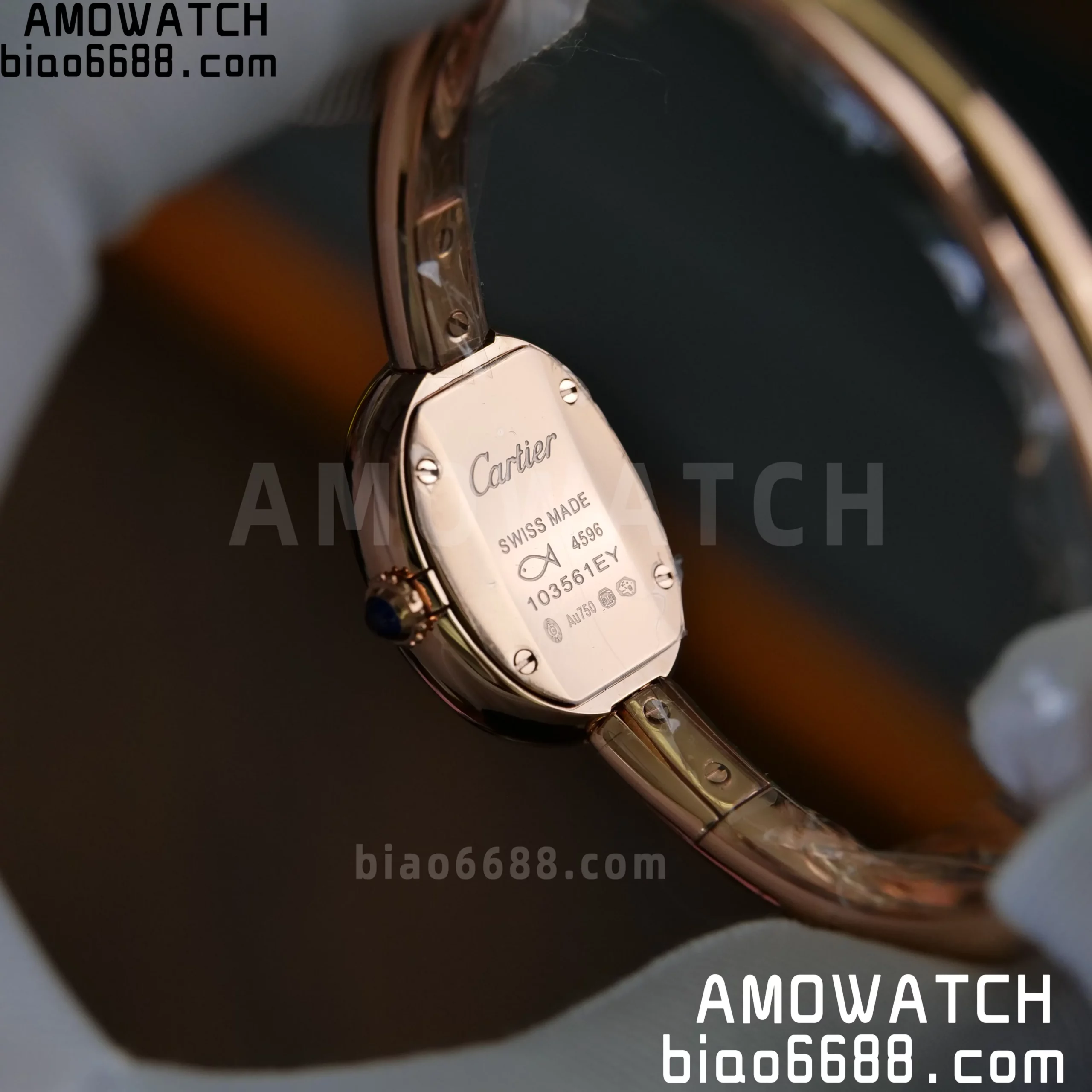 b56026cd8606555 scaled AMO Watch